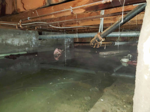 Best Ceiling water damage repair  in Hutchison, VA