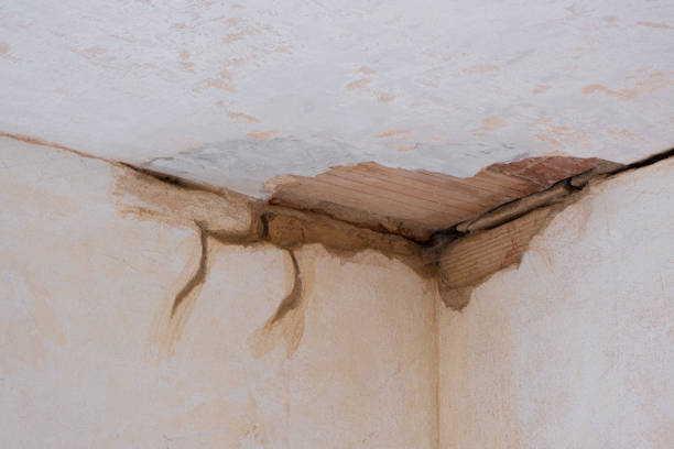 Best Sewage cleanup and water damage restoration  in Hutchison, VA