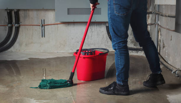 Best Residential water damage restoration  in Hutchison, VA