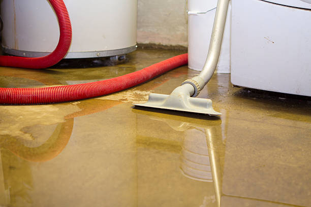Reliable VA Water damage restoration Solutions