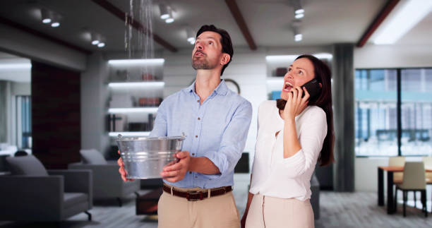 Best Water damage restoration near me  in Hutchison, VA
