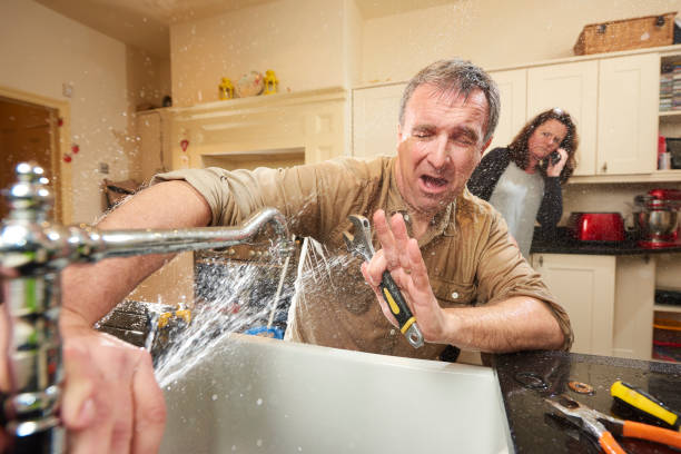 Best Water damage restoration specialists  in Hutchison, VA